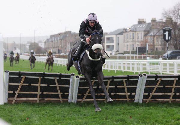 General Officer (Soldier Of Fortune) Wins The Maiden Hurdle At Musselburgh