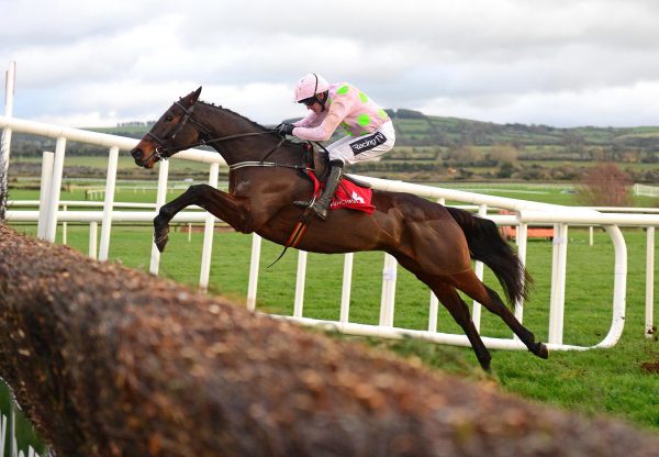 Getabird (Getaway) jumping the last before going on to win his beginners chase at Punchestown