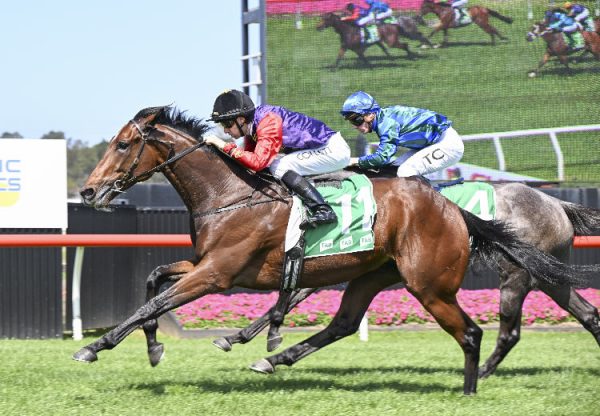 Gilded Water (Fastnet Rock) Kembla 750