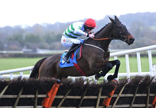 Ginto (Walk In The Park) Winning The Gr 1 Lalors Of Naas Hurdle At Naas
