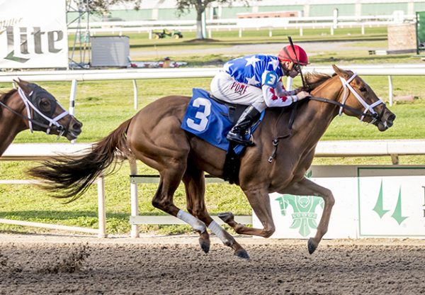 Girl With A Dream (Practical Joke) winning the Letellier Memorial at Fair Grounds