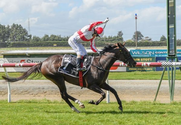 Global Thinking (So You Think) winning the Listed Southland Guineas in New Zealand