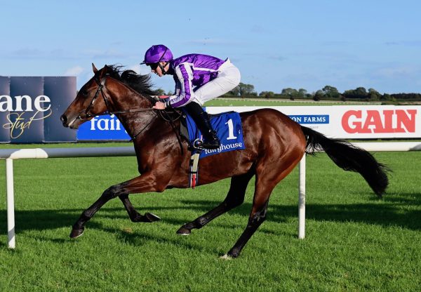 Gloucester (Ten Sovereigns) Gains His Second Win At Fairyhouse