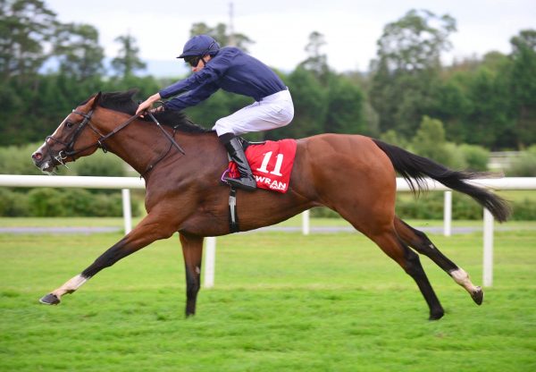 Goddess (Camelot) winning the Listed Hurry Harriet Stakes at Gowran Park