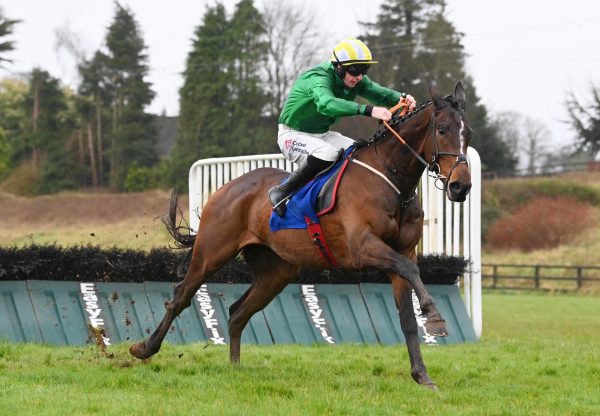 Gold In The Rivers (Walk In The Park) Wins The Maiden Hurdle At Limerick