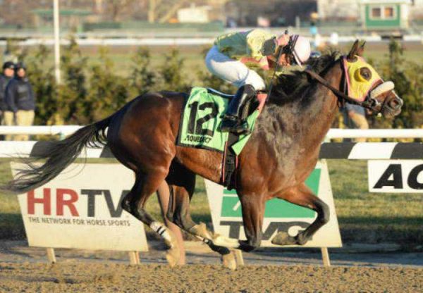 Good Luck Gus (Lookin At Lucky) winning the Damon Runyon