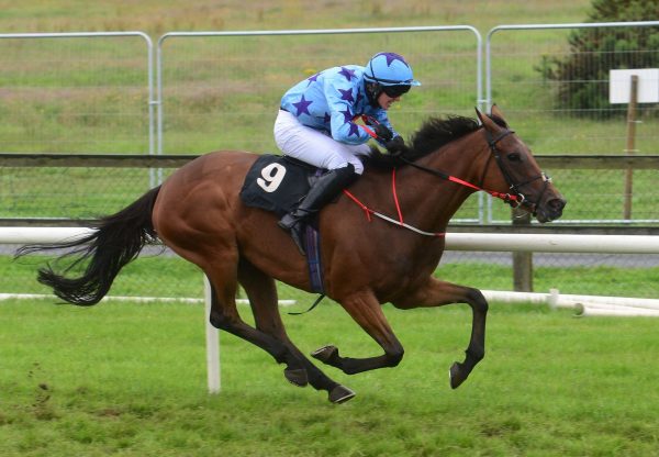 Hand In My Pocket (Mahler) Wins Her Bumper At Bellewstown