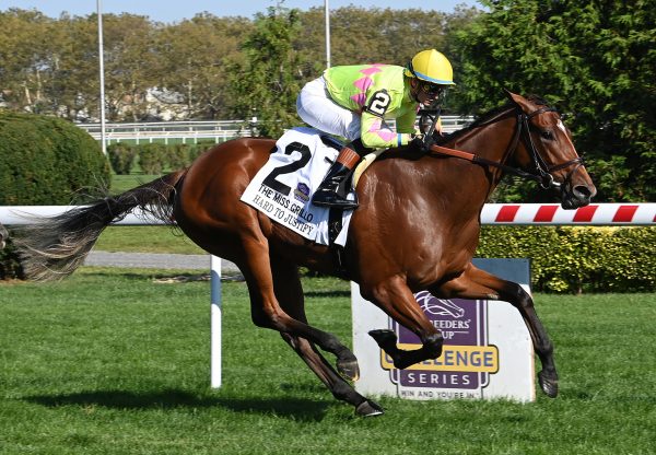 Hard To Justify (Justify) Gr.2 Miss Grillo Stakes at Belmont