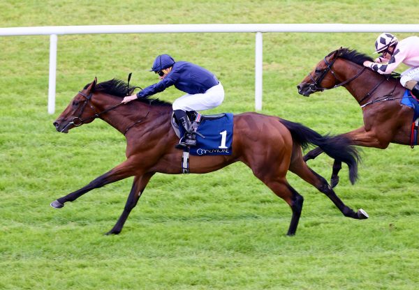 Henri Matisse (Wootton Bassett) Wins The Group 2 Coolmore Stud Wootton Bassett Irish Ebf Futurity Stakes