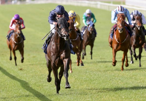 Hispanic (No Nay Never) Impresses In Curragh Maiden