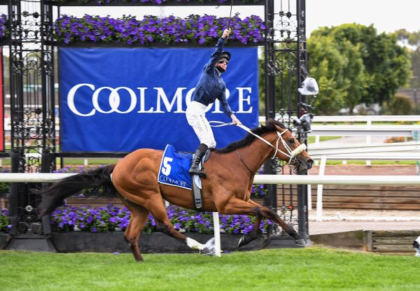 Home Affairs winning the Gr.1 Coolmore Stud Stake at Flemington