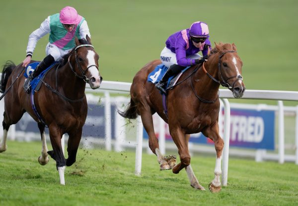 Into Battle Wins At Epsom