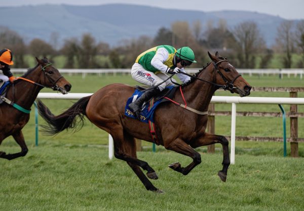 Iron Bridge (Milan) Wins At Tipperary