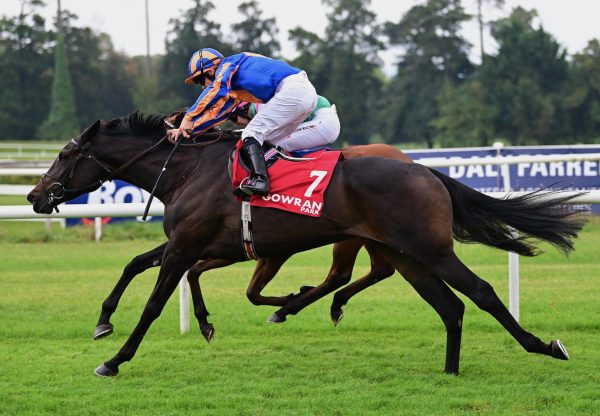 Island Hopping (Wootton Bassett) Wins Her Maiden At Gowran Park