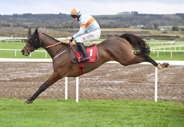 Itswhatunitesus (Walk In The Park) Wins The Rated Novice Hurdle At Punchestown