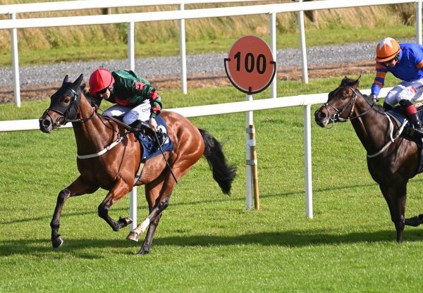 Jadore Chris (Churchill) Wins Her Maiden At Roscommon