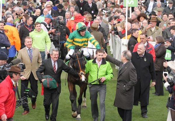 Jezki with connection after winning the G1 Champion Hurdle at Cheltenham