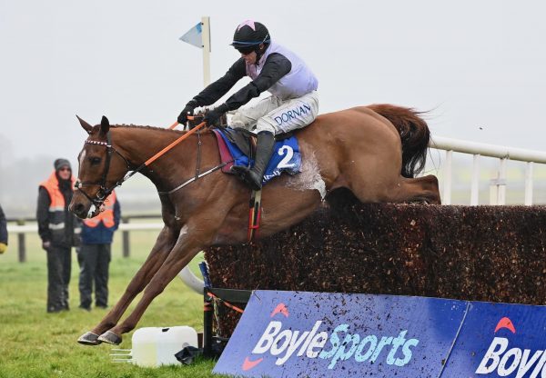 Journey With Me (Mahler) Wins The Grade 2 Chase At Fairyhouse