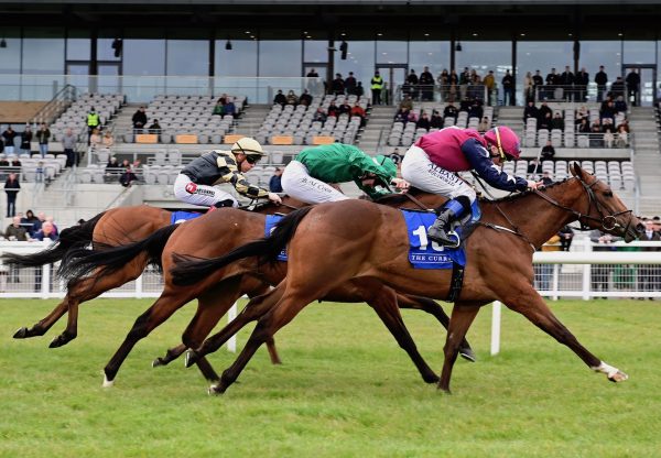 Joyous Moment (Holy Roman Emperor) Wins Her Maiden At The Curragh