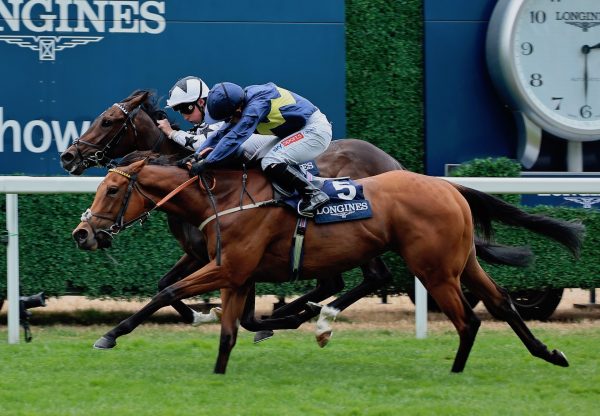 Jumbly (Gleneagles) Wins The Group 3 Valiant Stakes at Ascot