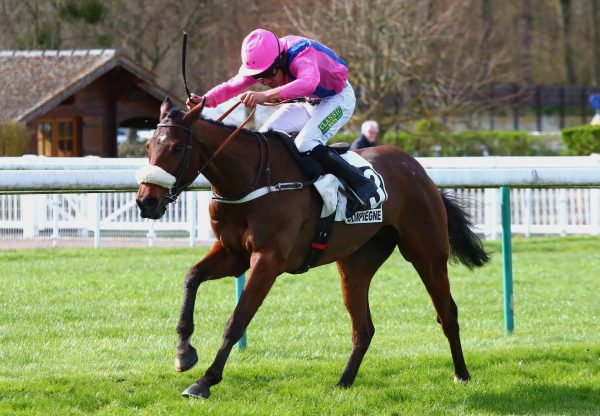 Kass Tete (Yeats) Wins At Compiegne