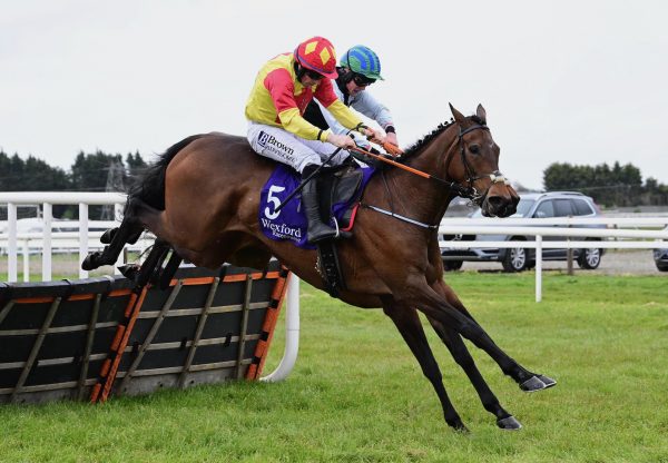Kiltealy Park (Walk in the Park) Wins The Mares Maiden Hurdle At Wexford