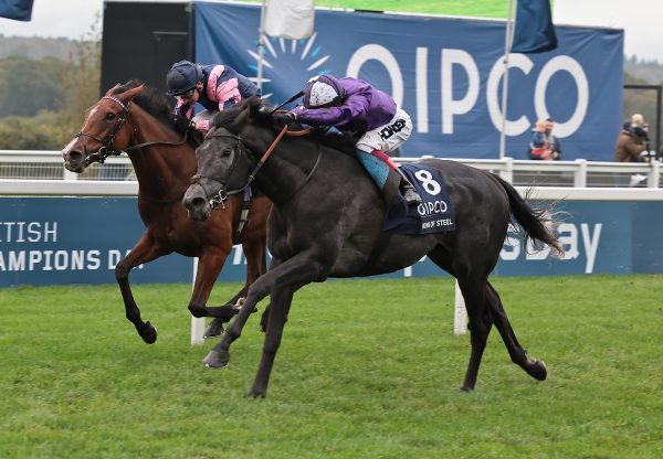King Of Steel (Wootton Bassett) Wins The Group 1 Champion Stakes at Ascot
