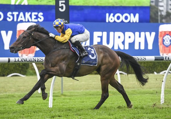 Knights Order (So You Think) winning the Gr.2 Chelmsford Stakes at Randwick