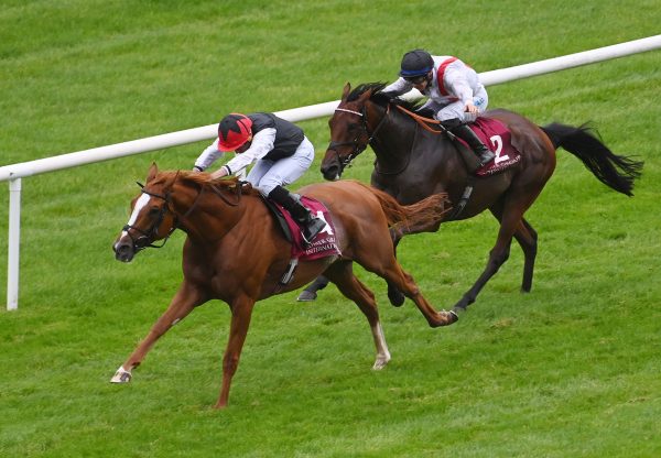 Kyprios (Galileo) wins the Gr.1 Irish St Leger at the Curragh