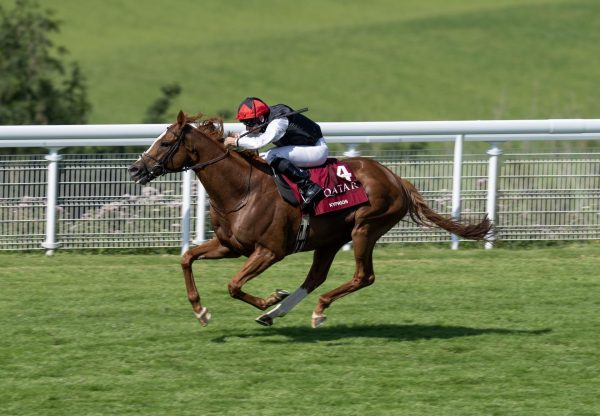 Kyprios (Galileo) Wins The Goodwood Cup For A Second Time