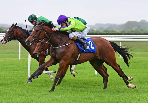 Lady O (Australia) Wins On Debut At Roscommon