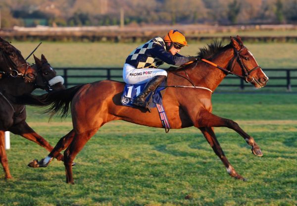 Lady Temperance (Getaway) wins the bumper at Naas