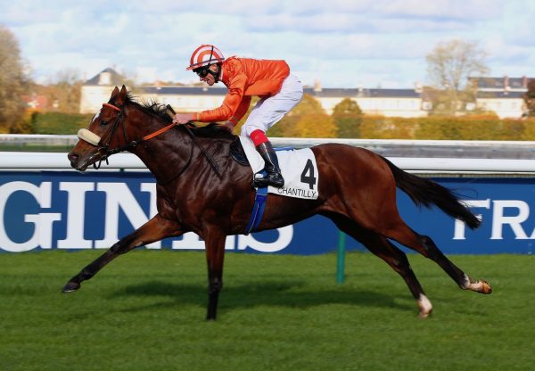 Lajoscha (Gleneagles) Wins The Listed Grand Prix Du Nord At Chantilly