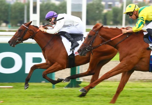 Laulne (Starspangledbanner) wins the Gr.3 Prix Six Perfections at Deauville