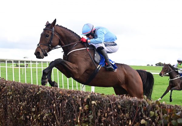 Law Ella (Yeats) Wins The Mares Beginners Chase At Thurles