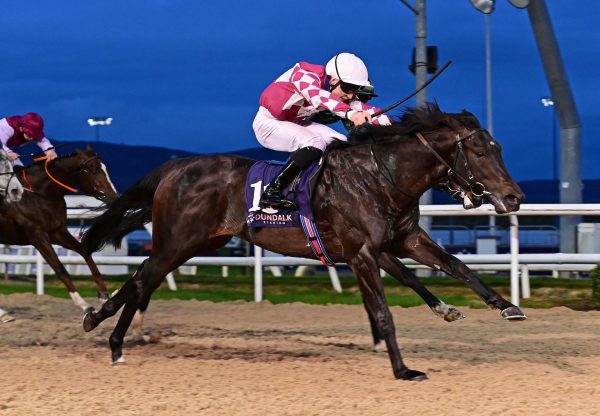 Lesson Learned (No Nay Never) Wins His Maiden At Dundalk