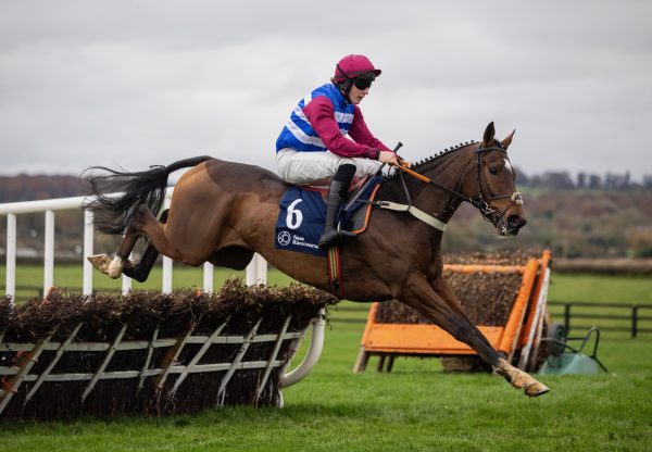 Lieutenant Mayne (Soldier Of Fortune) Wins On Hurdle Debut