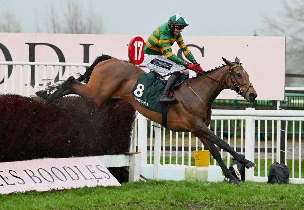 Limerick Lace (Walk In The Park) Wins The Grade 2 Mares’ Chase at Cheltenham