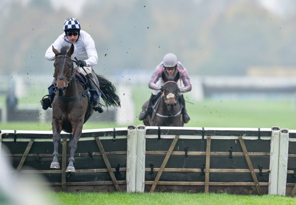 Listentoyourheart Wins The Mares’ Novices’ Hurdle At Newbury