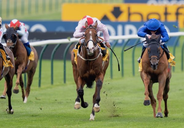 Living Legend (Camelot) Wins The Group 2 Jockey Club Stakes At Newmarket