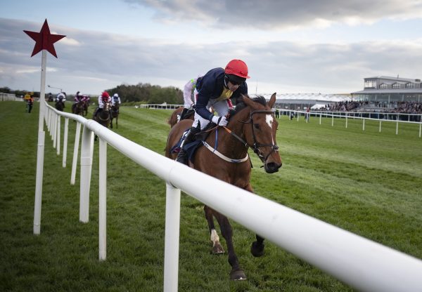 Longhouse Poet (Yeats) Wins At  Punchestown
