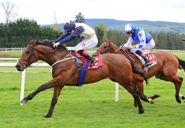 Lust (Fastnet Rock) Wins His Maiden At Gowran Park