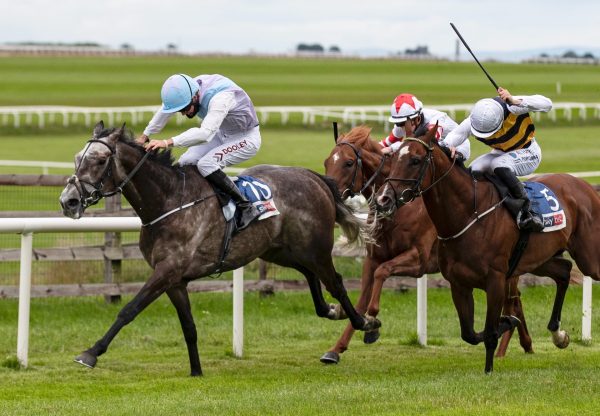 Lynwood Gold (Mastercraftsman) Wins The Ebor Trial at the Curragh