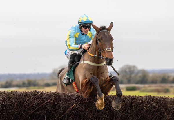 Mahler Mission (Mahler) Wins The Beginners Chase At Navan