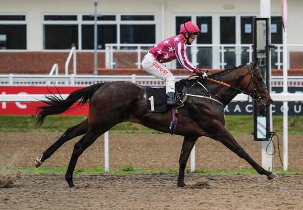 Majd Al Arab (The Gurkha) wins at Chelmsford