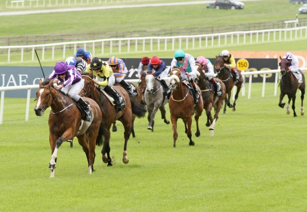 Marvellous (Galileo) winning the G1 Irish 1000 Guineas at the Curragh