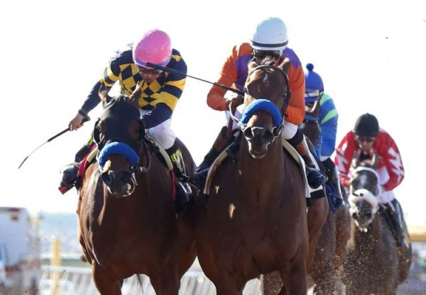 Maybellene (Lookin At Luck) winning The Sunland Park Oaks