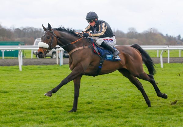 McFabulous (Milan) Wins The Grade 3 Novices Hurdle At Kempton