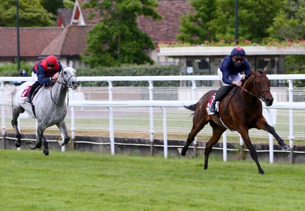 Measure Of Time (Gleneagles) Wins At Clairefontaine