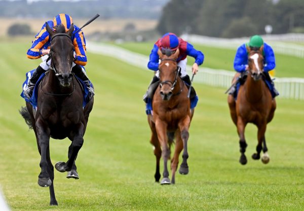 Meditate (No Nay Never) Wins The Group 2 Debutante Stakes at the Curragh